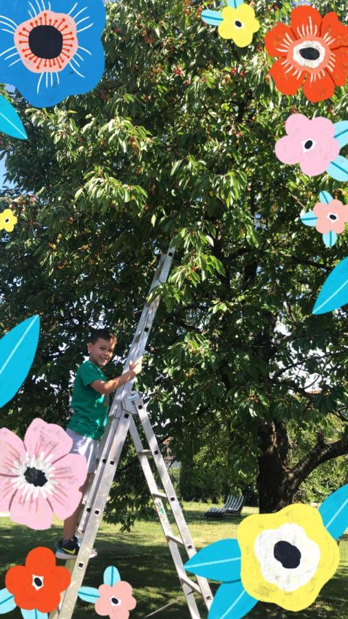 Ferien- Und Monteurswohnung Heilbrunnen Woerth am Rhein Esterno foto